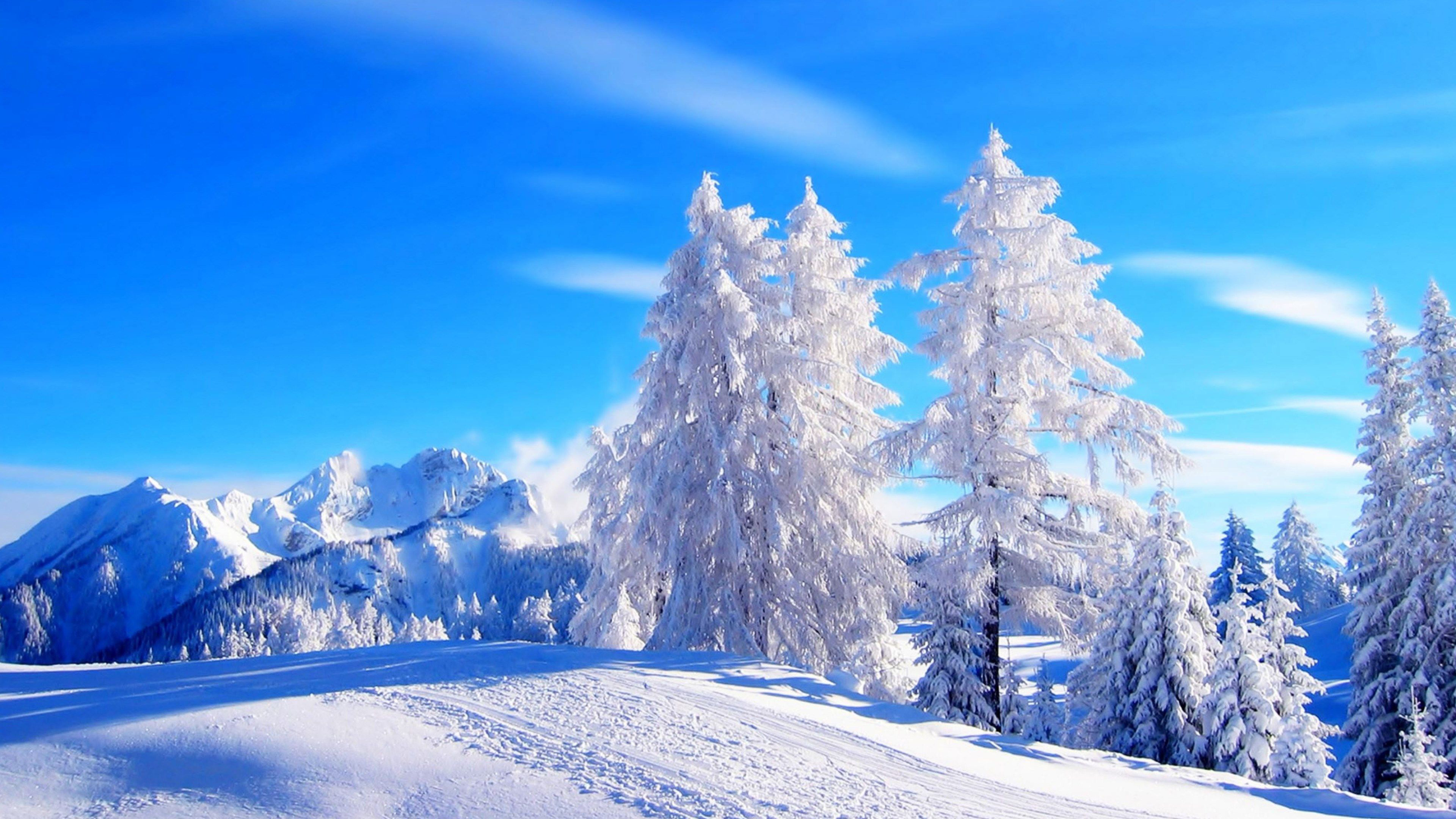 Cool Winter Backgrounds