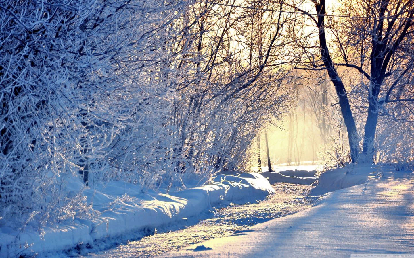 Cool Winter Backgrounds