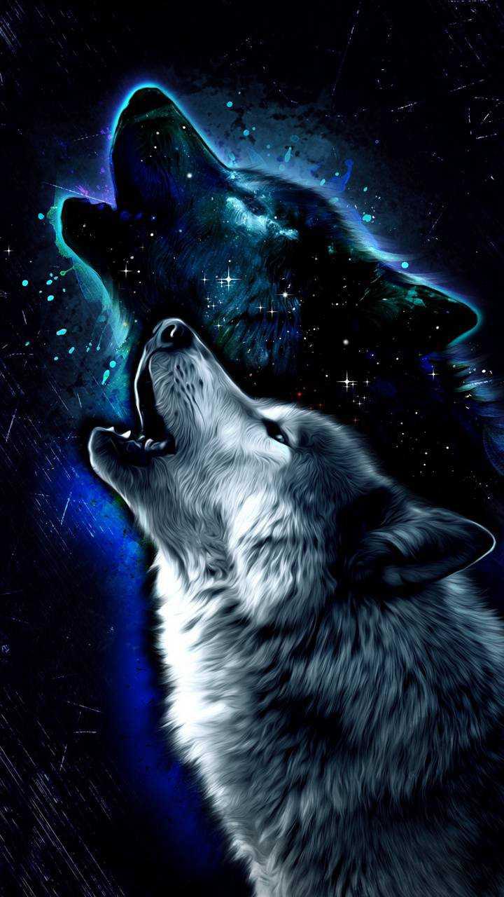 Cool Wolf Phone Wallpapers Wallpapers