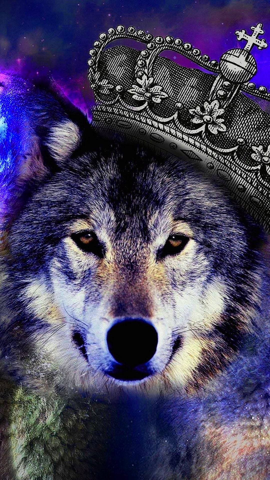 Cool Wolf Wallpaper Wallpapers