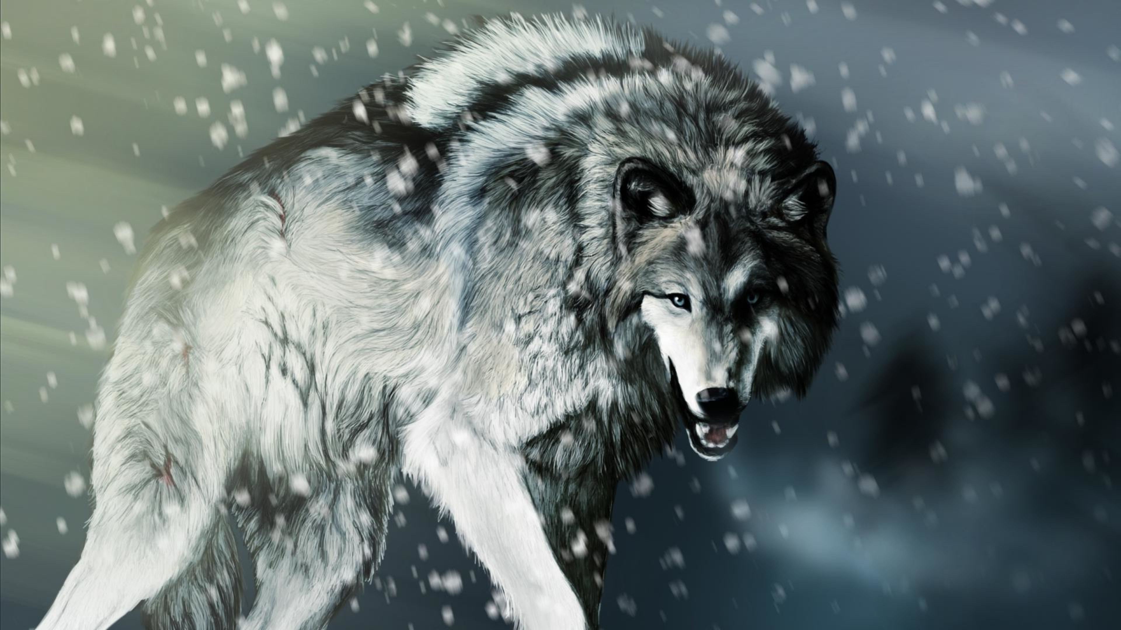 Cool Wolf Wallpaper Wallpapers