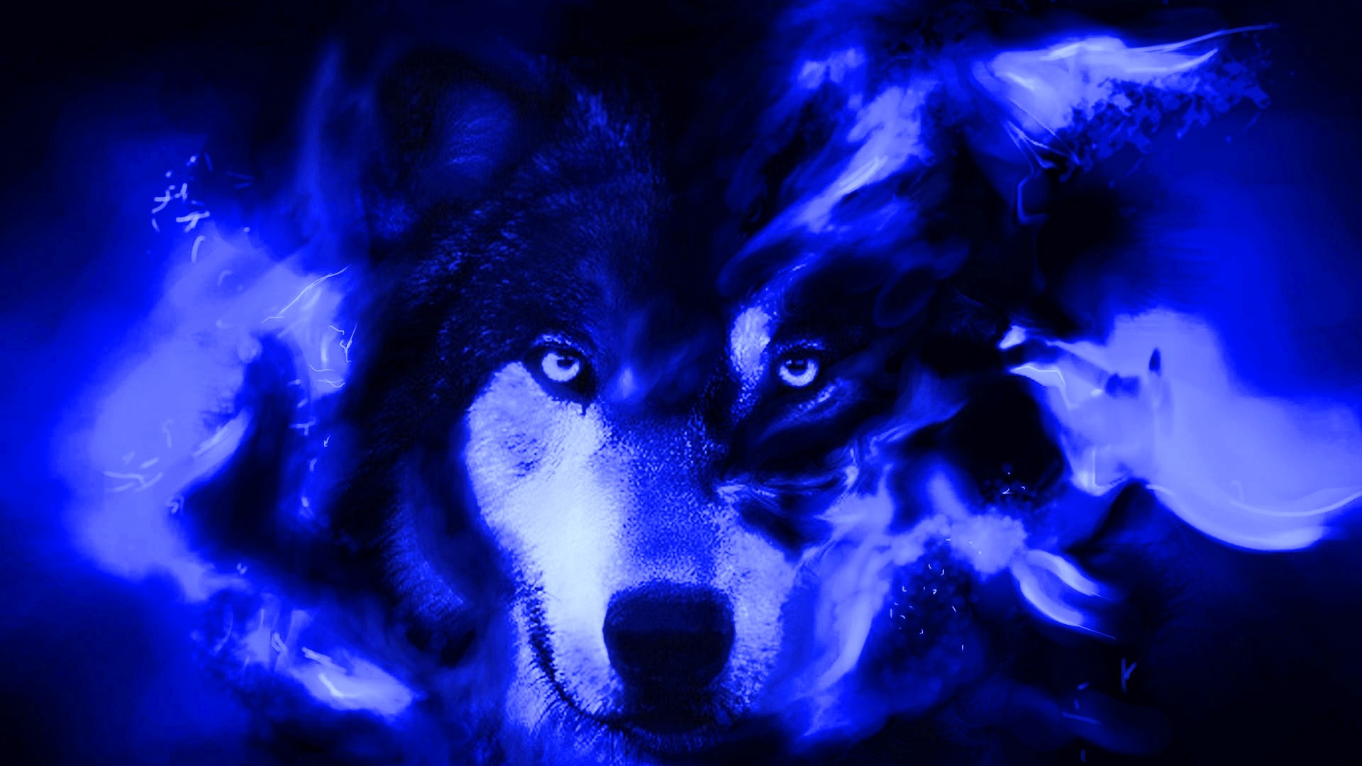 Cool Wolf Wallpaper Wallpapers