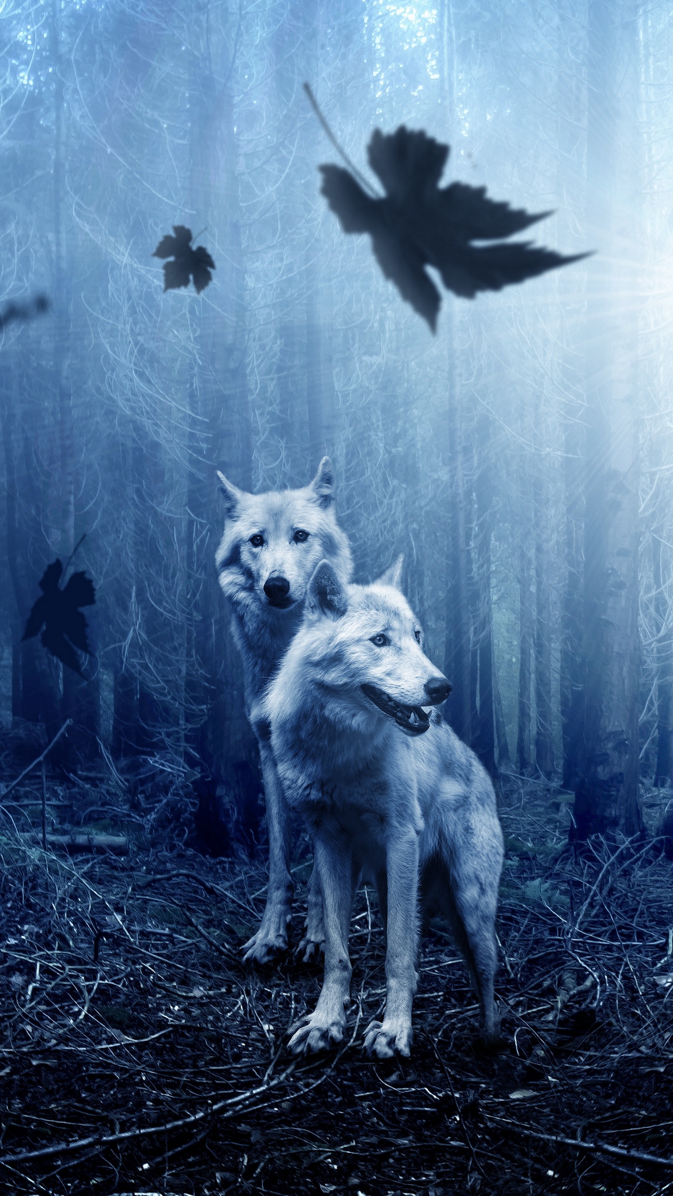 Cool Wolves Iphone Wallpapers Wallpapers