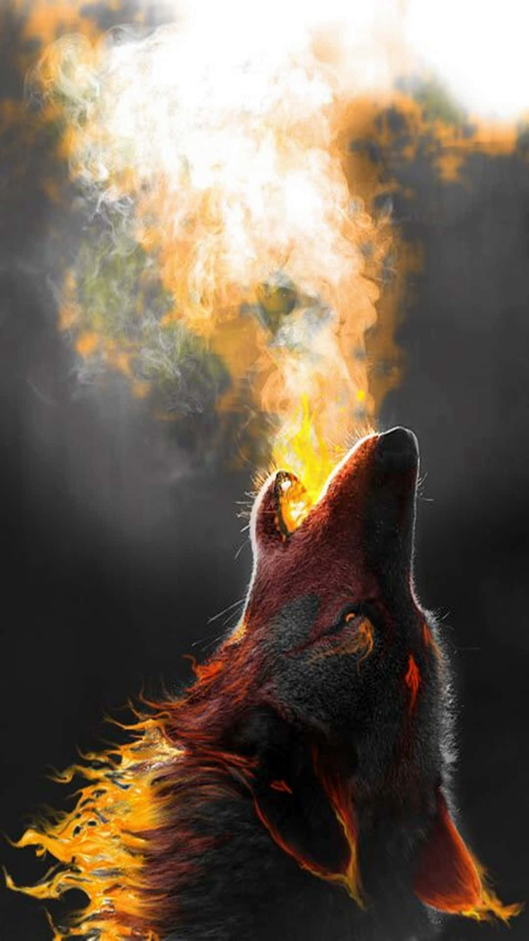 Cool Wolves Iphone Wallpapers Wallpapers