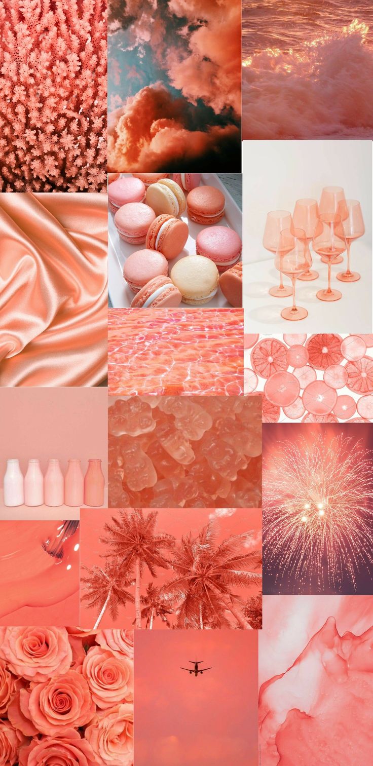 Coral Aesthetic Wallpapers