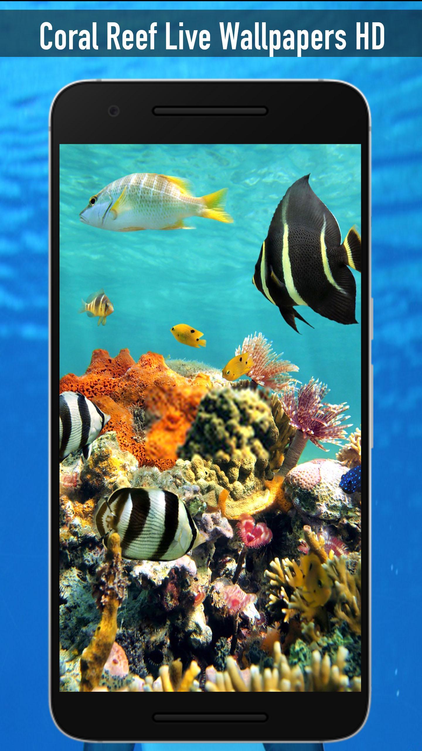 Coral Reef Phone Wallpapers