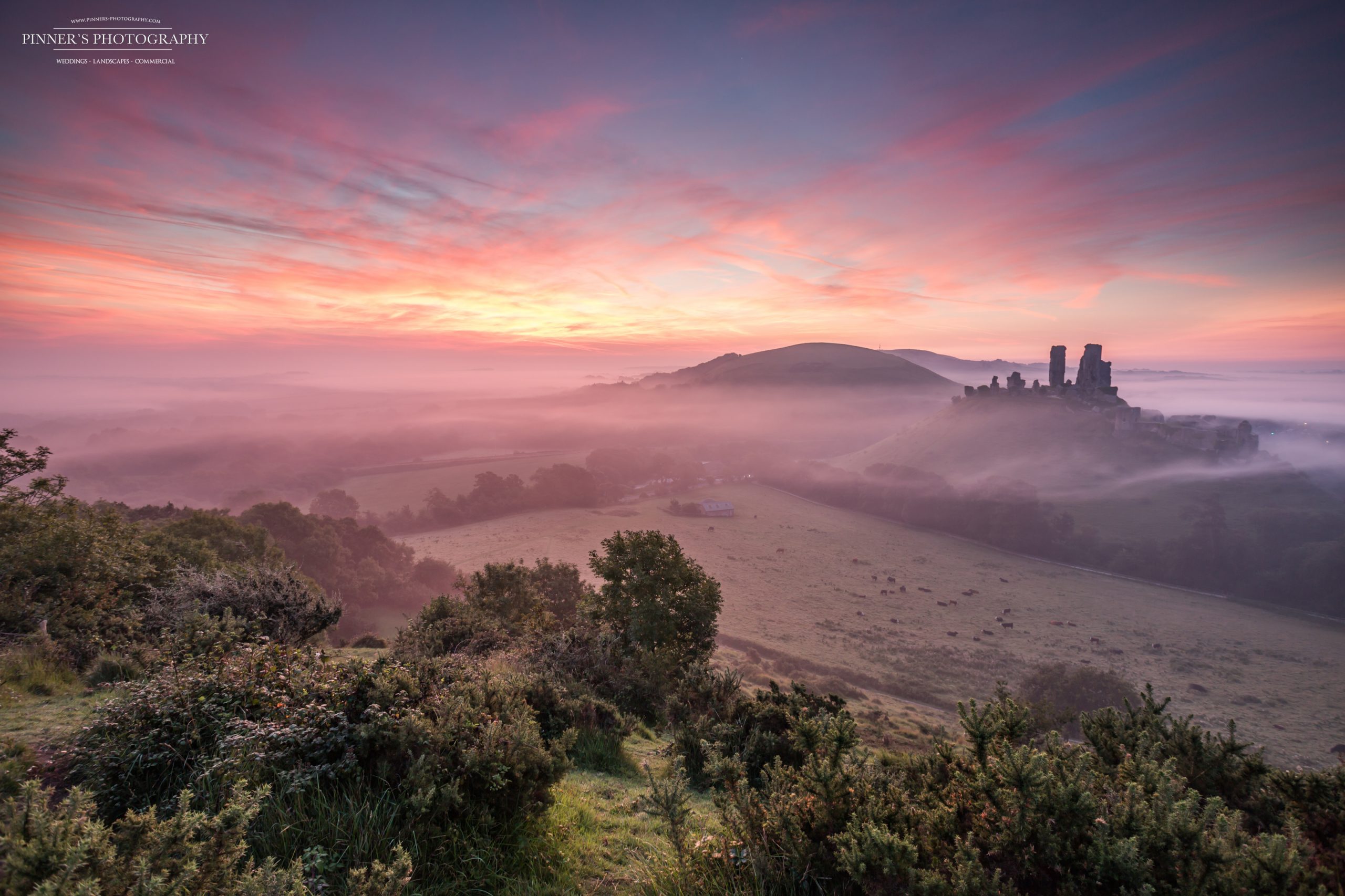 Corfe Castle Fog Day Wallpapers