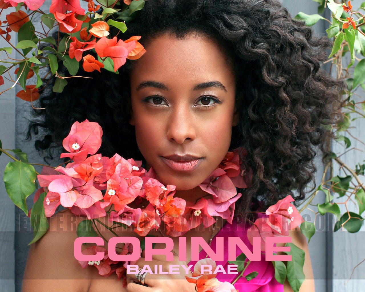 Corinne Bailey Rae Wallpapers