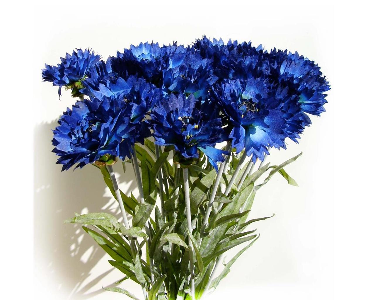 Cornflower Wallpapers