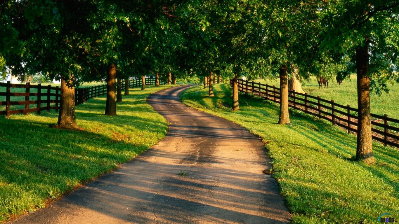 Country Road Wallpapers