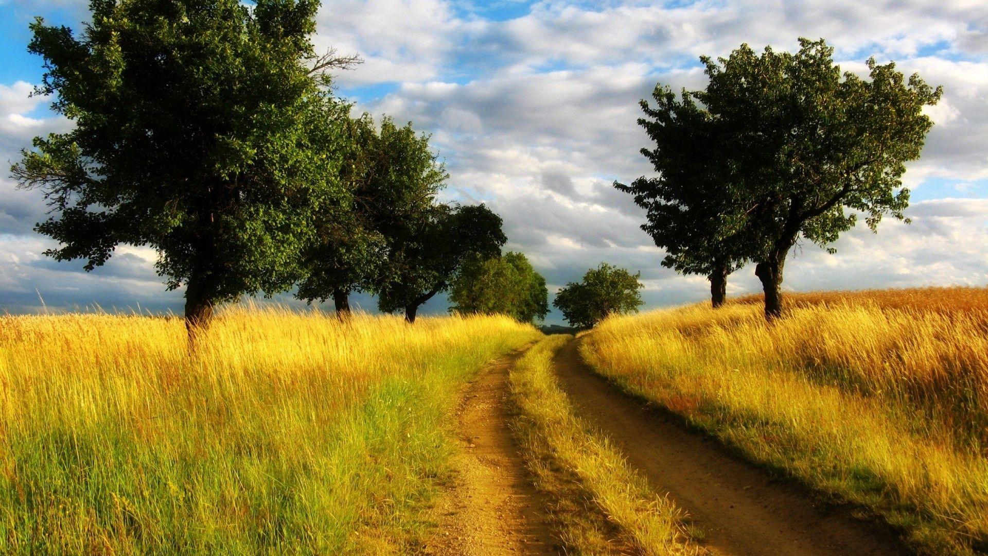 Country Road Wallpapers