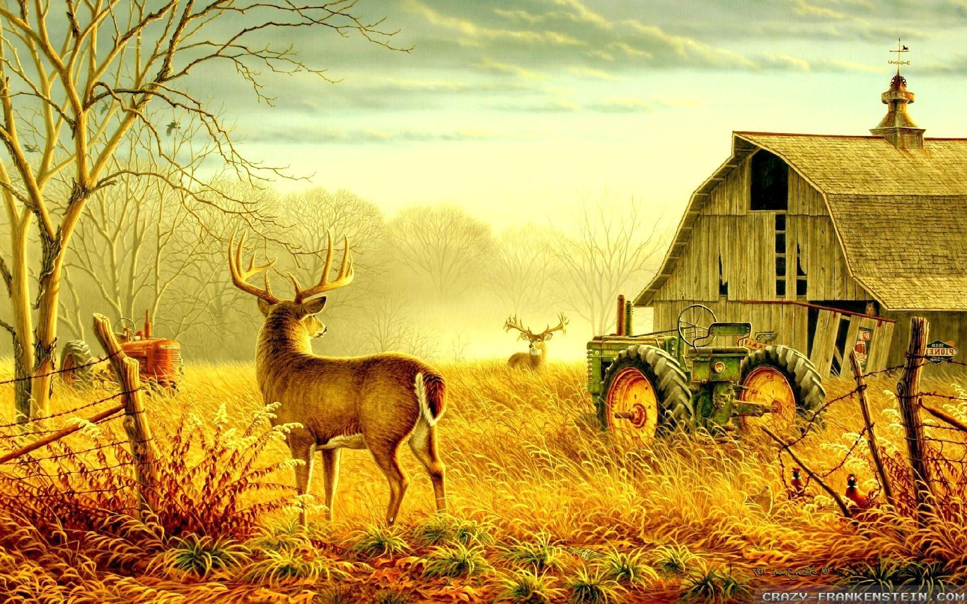 Country Scene Wallpapers