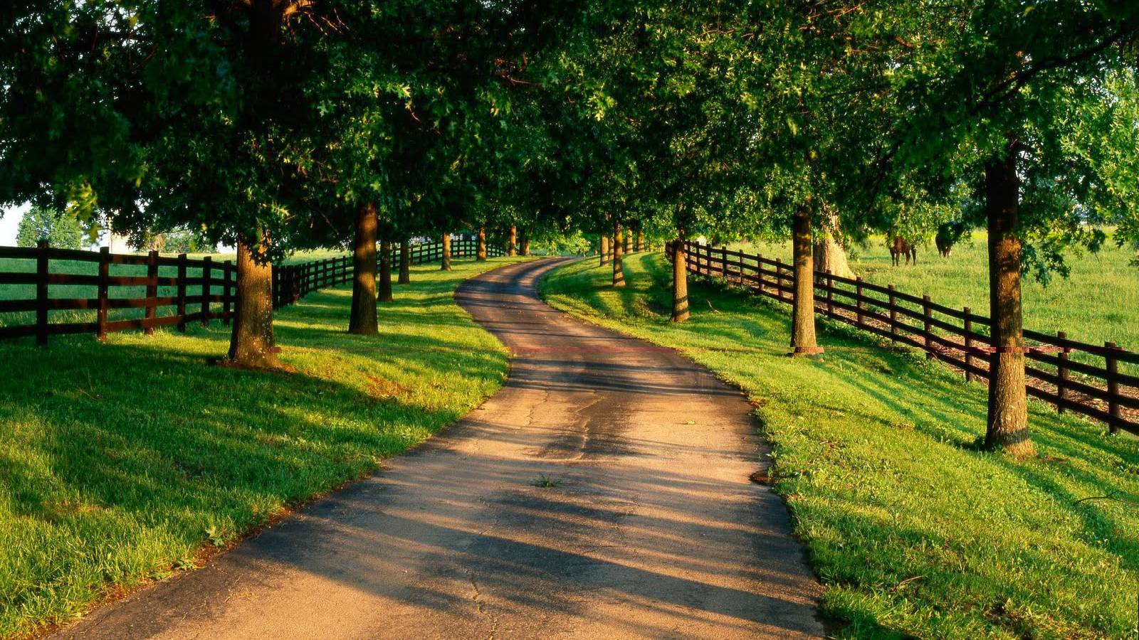 Country Scene Wallpapers