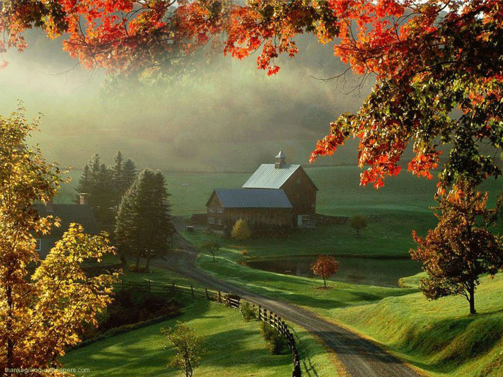 Country Scene Wallpapers