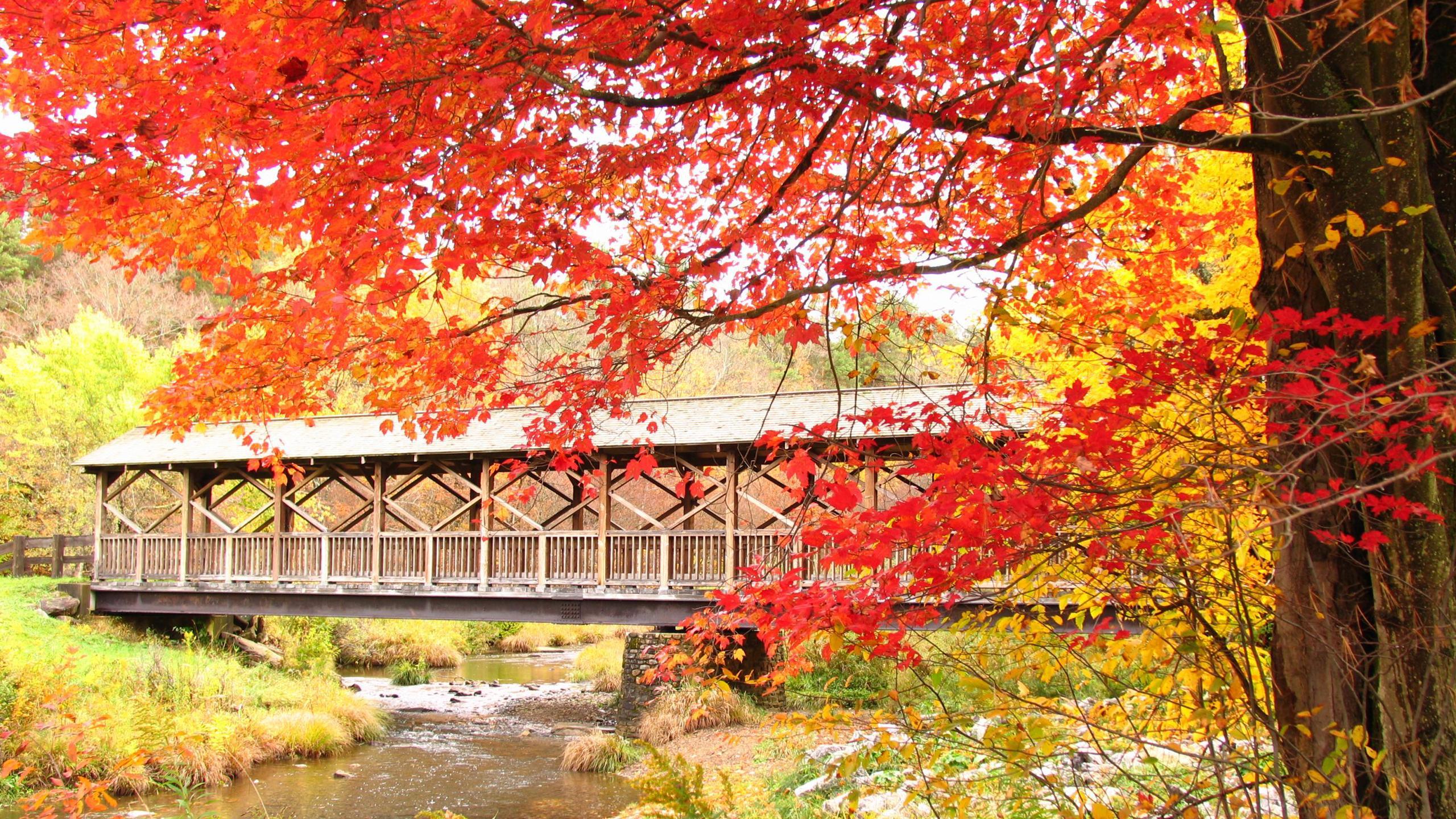 Covered Bridges Wallpapers