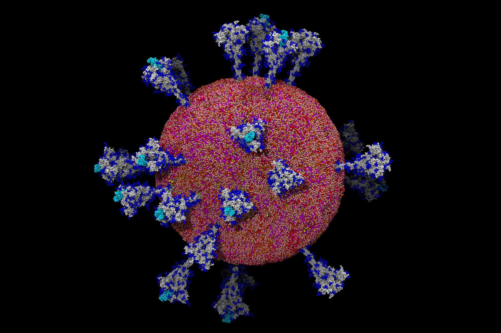 Covid 19 Virus Wallpapers