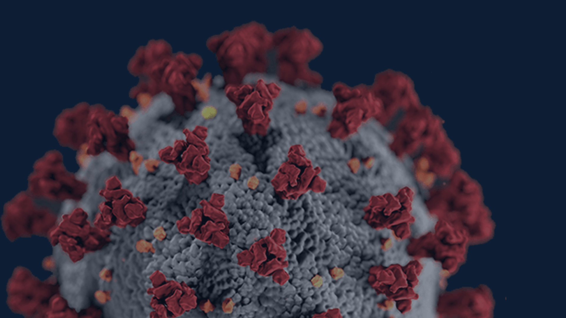 Covid 19 Virus Wallpapers