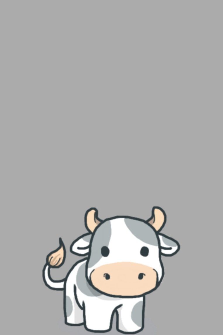 Cow Wallpapers