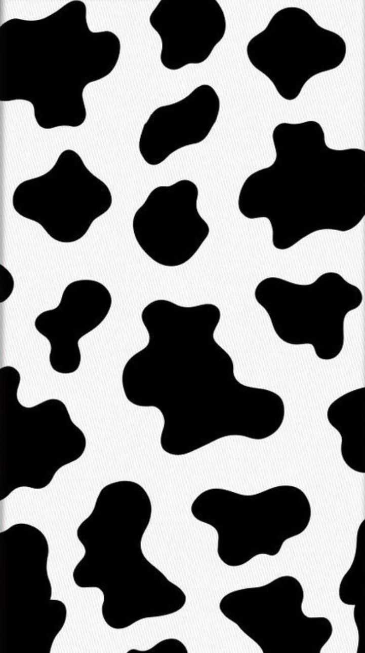 Cow Wallpapers