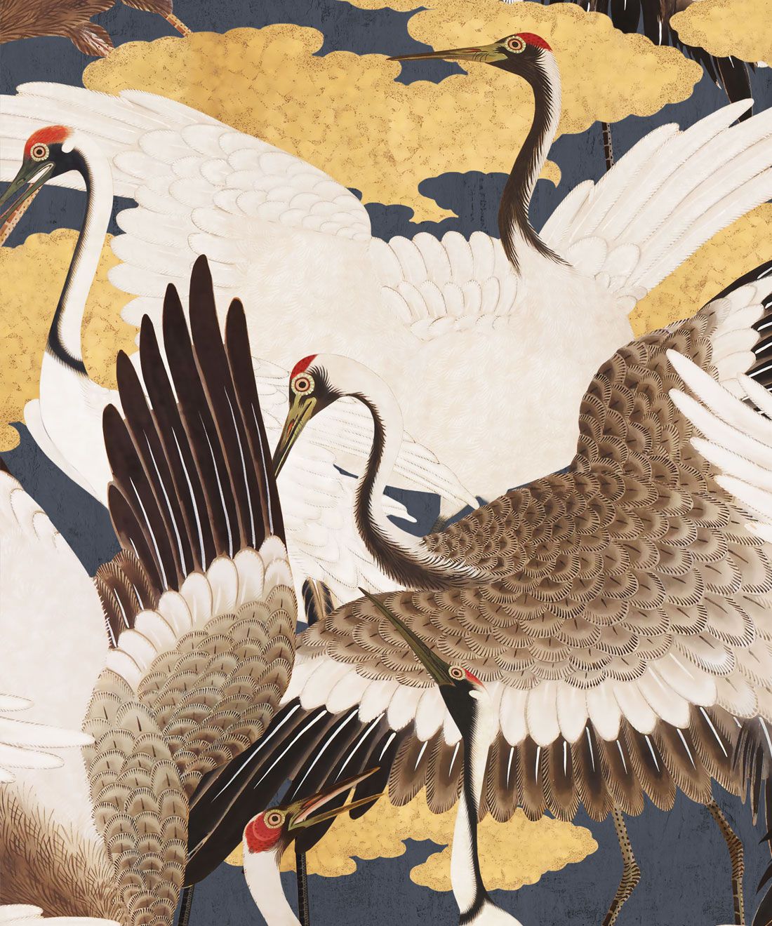 Crane Bird Wallpapers