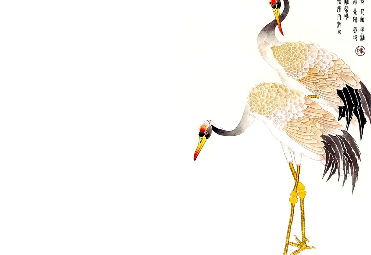 Crane Bird Wallpapers