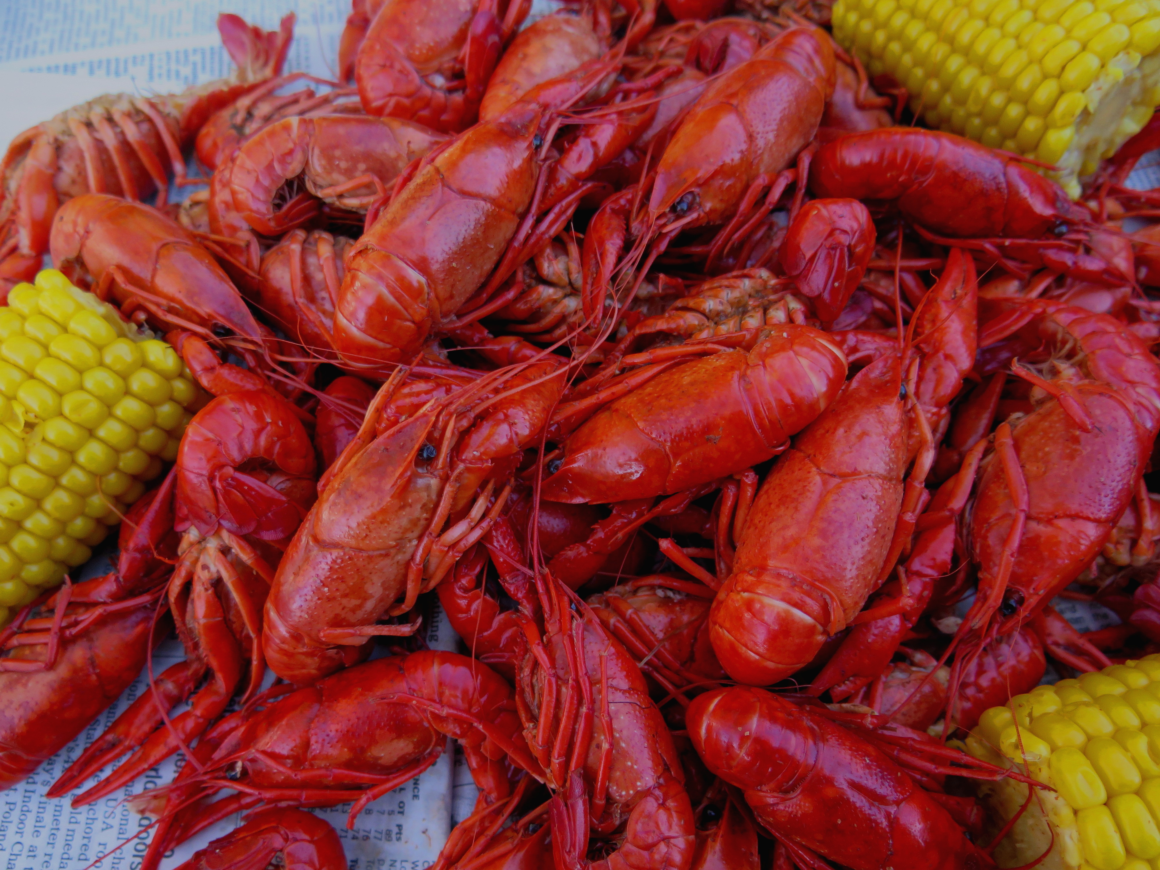 Crawfish Wallpapers