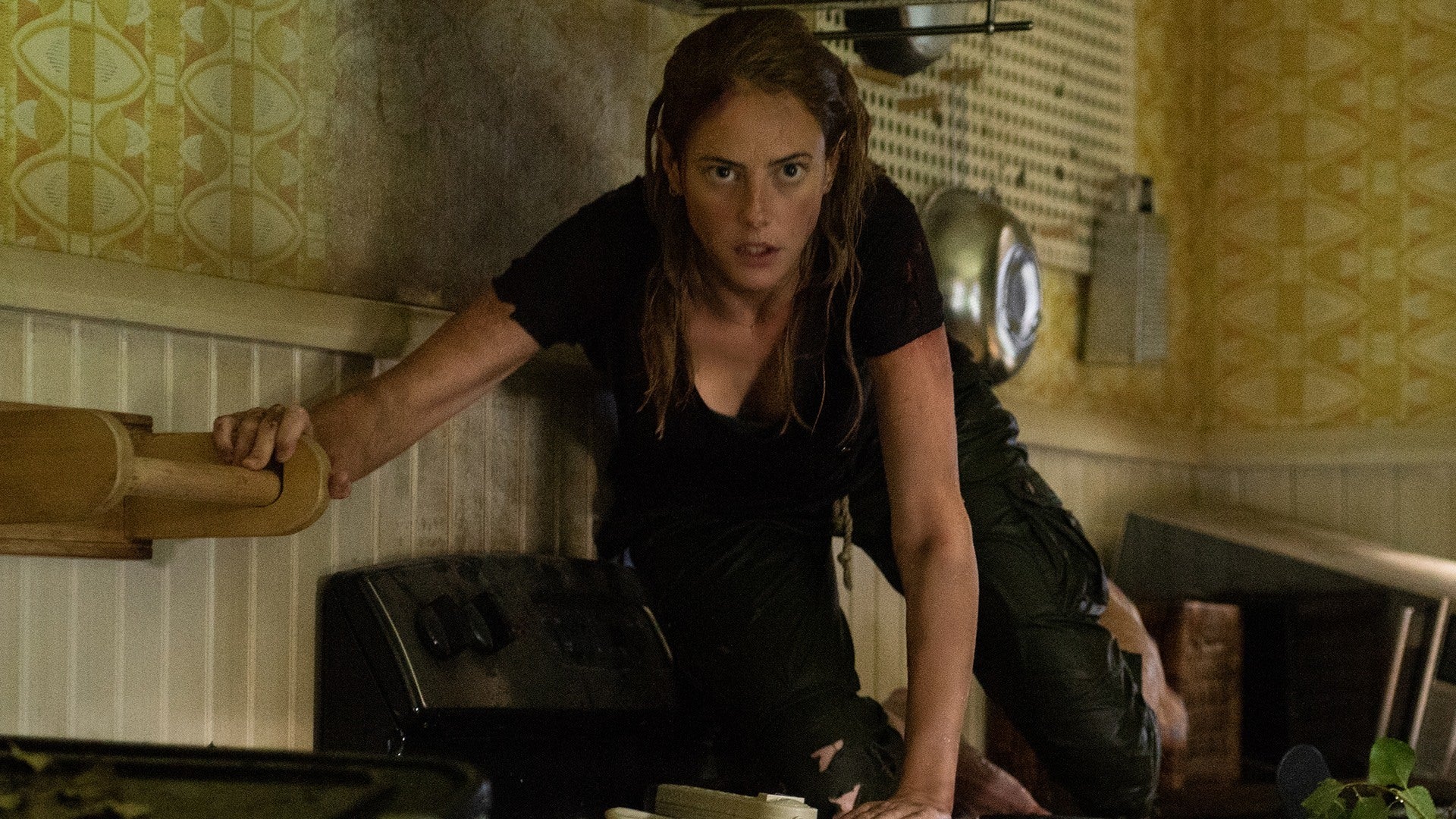 Crawl Movie Kaya Scodelario Wallpapers