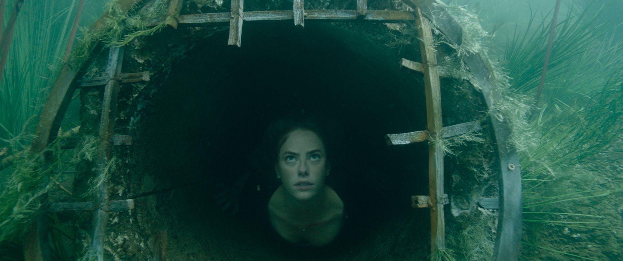 Crawl Movie Kaya Scodelario Wallpapers