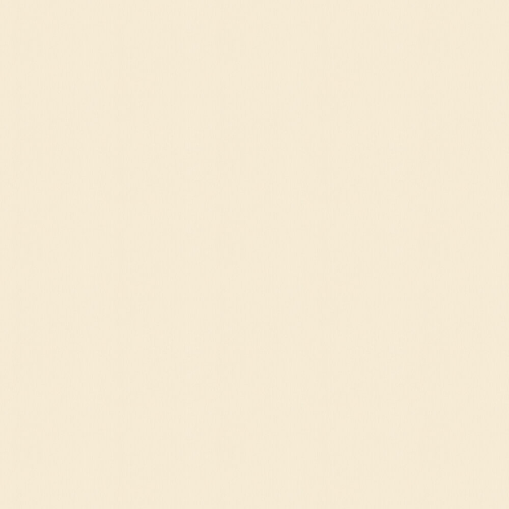 Cream Background