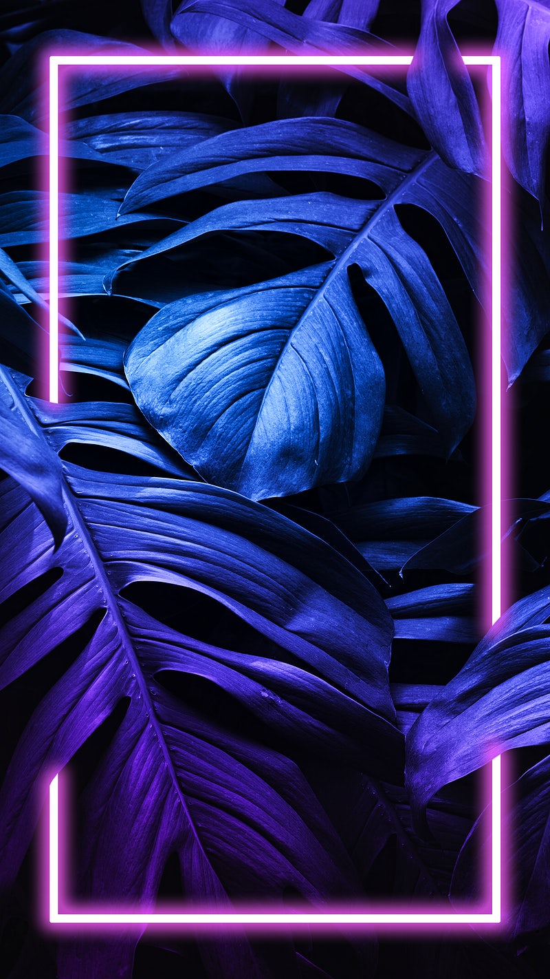 Creative Phone Wallpapers