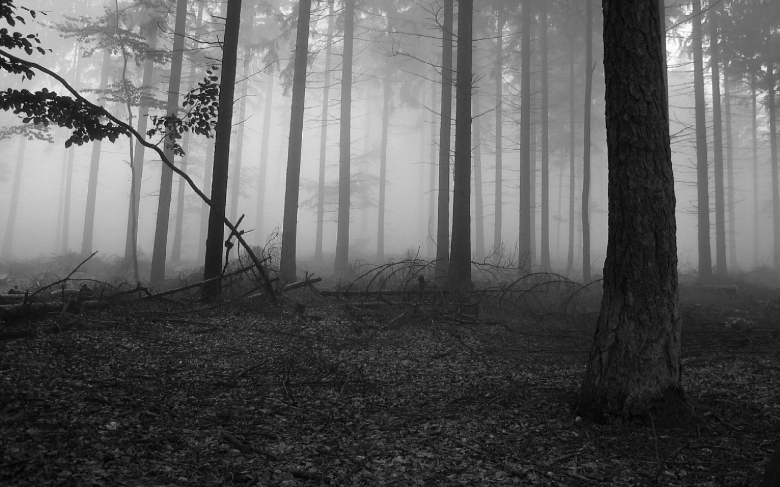 Creepy Black And White Wallpapers