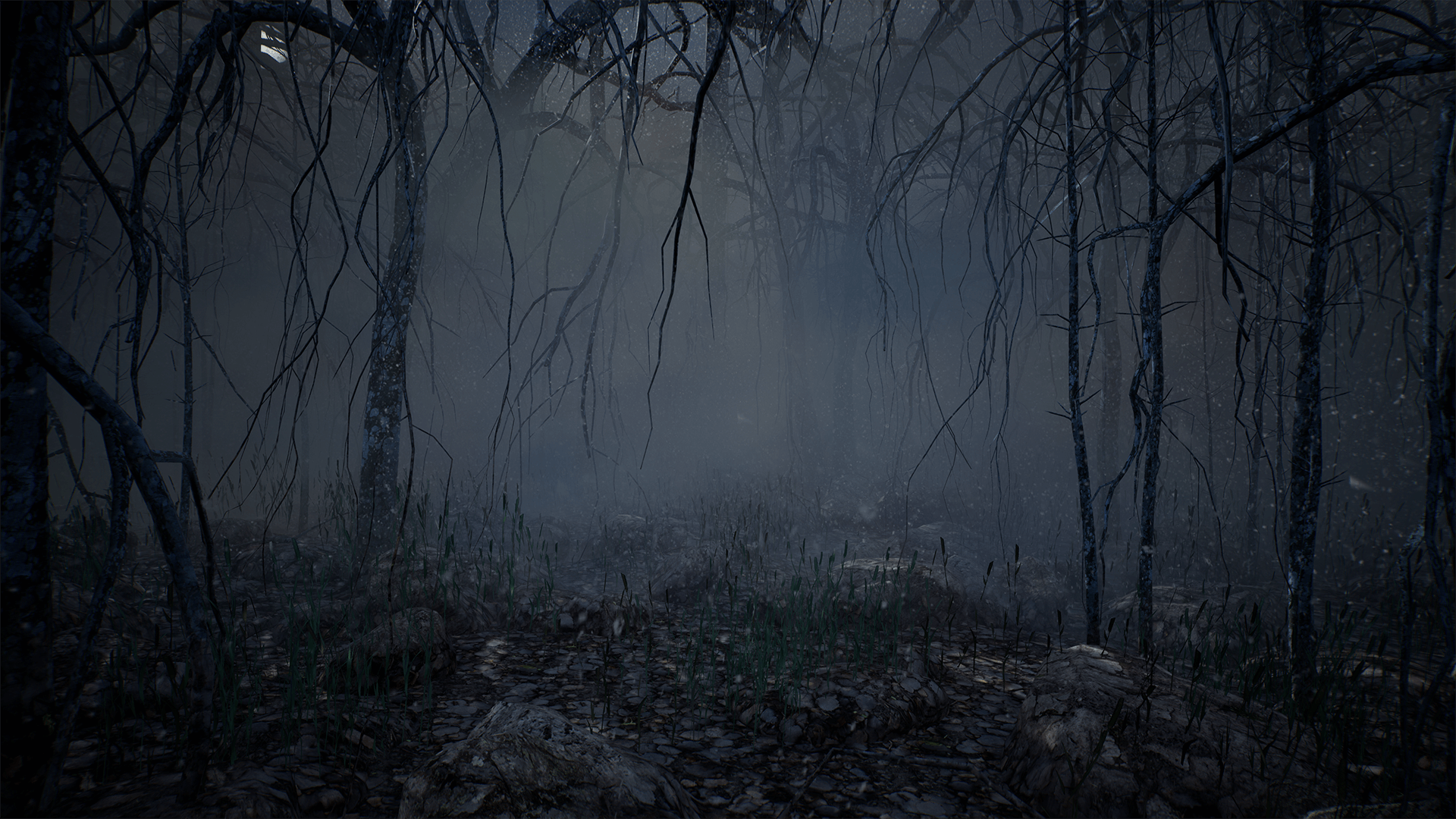 Creepy Foggy Forest Wallpapers