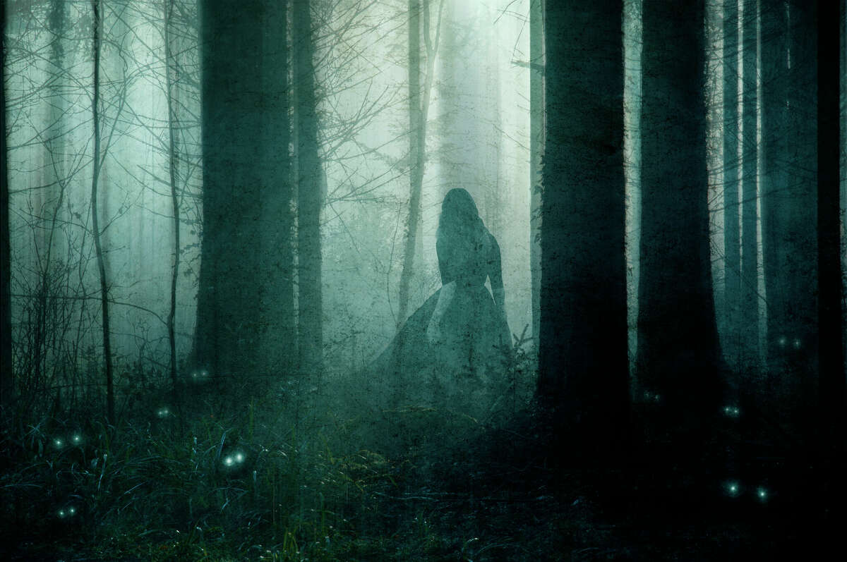 Creepy Foggy Forest Wallpapers