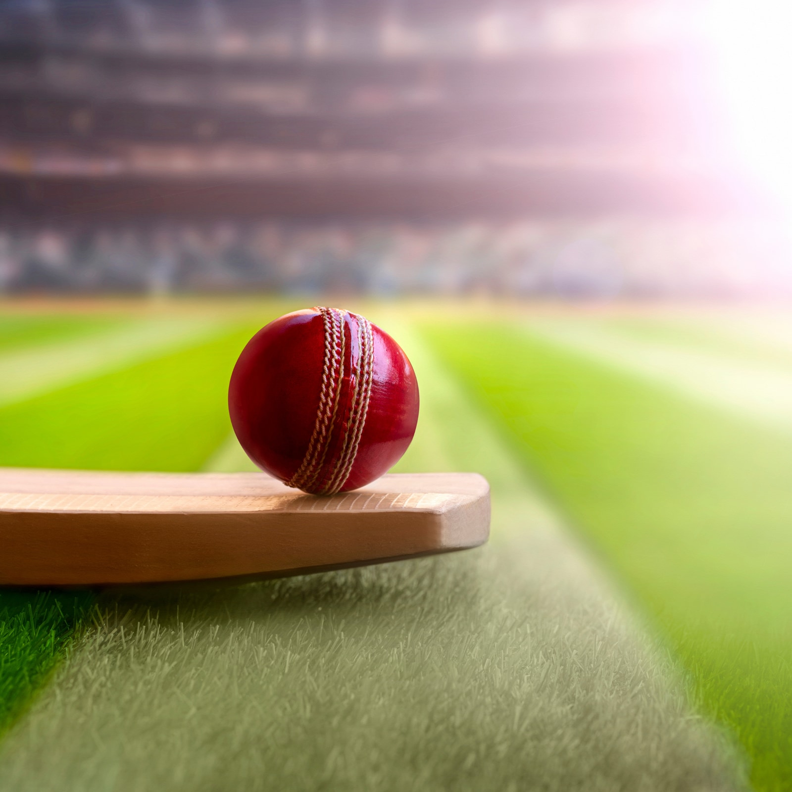 Cricket Game Image Wallpapers