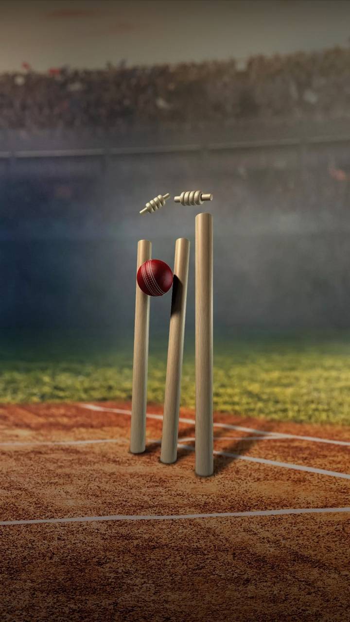 Cricket Paddle And Ball Wallpapers