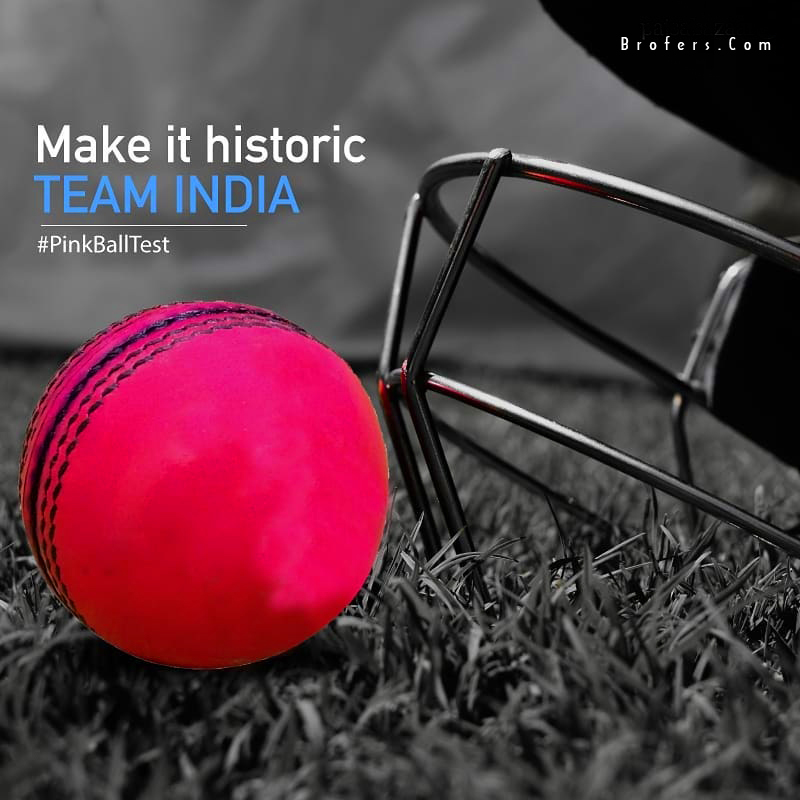 Cricket Paddle And Ball Wallpapers