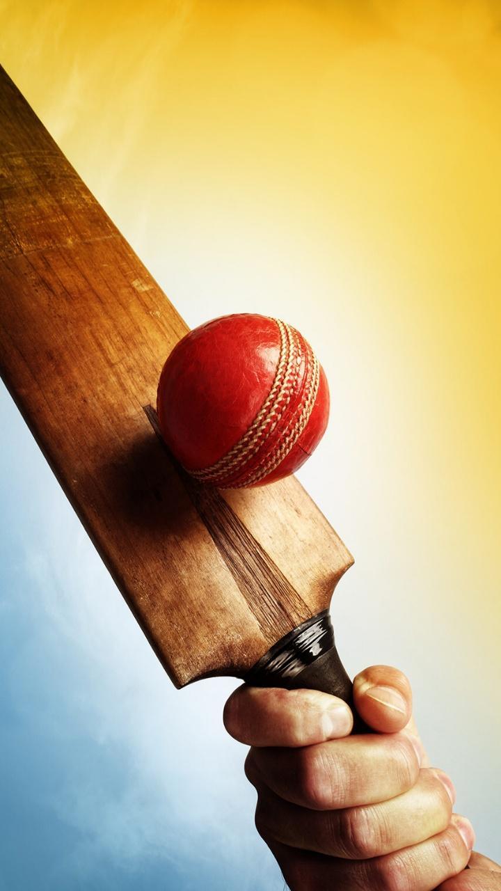 Cricket Paddle And Ball Wallpapers