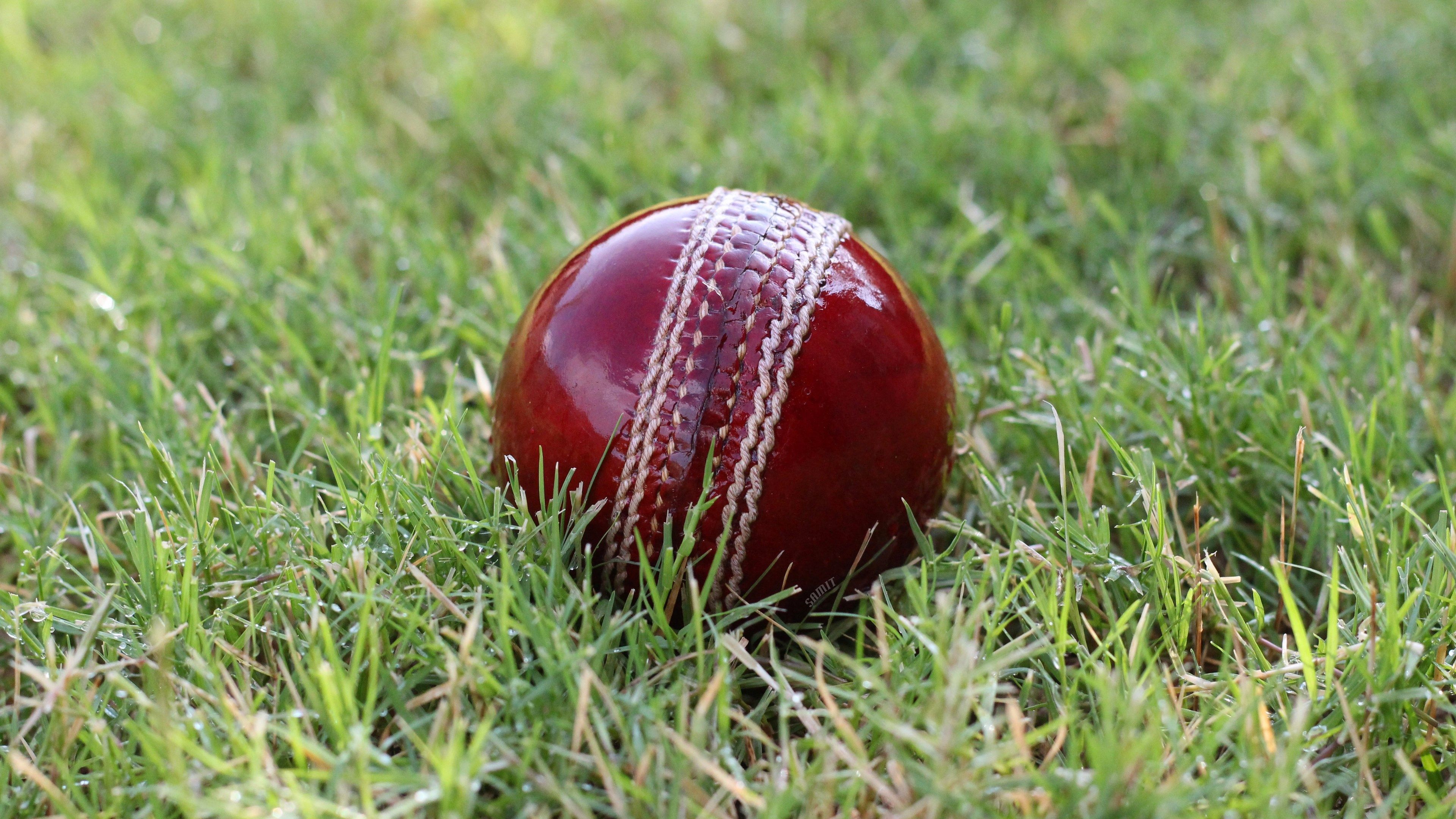 Cricket Paddle And Ball Wallpapers