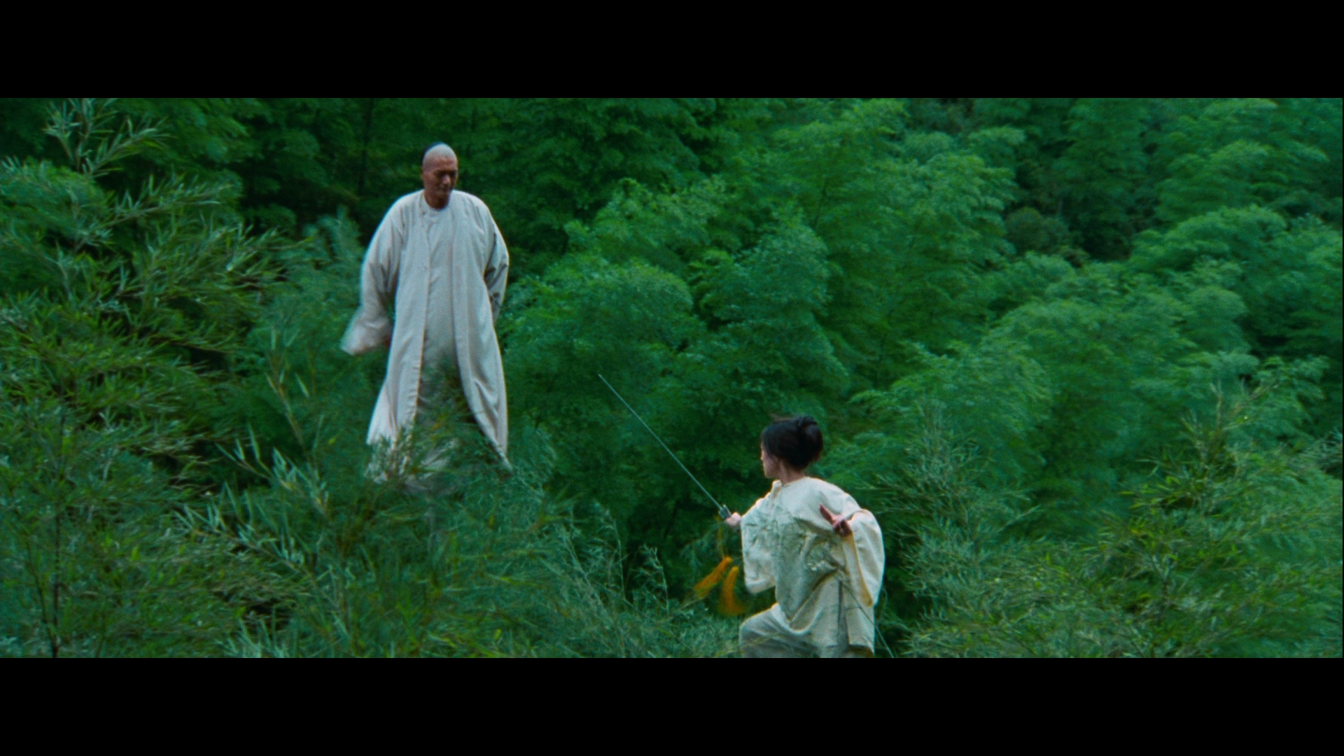 Crouching Tiger Hidden Dragon Wallpapers