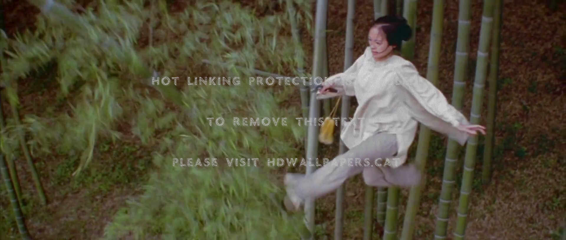 Crouching Tiger Hidden Dragon Wallpapers