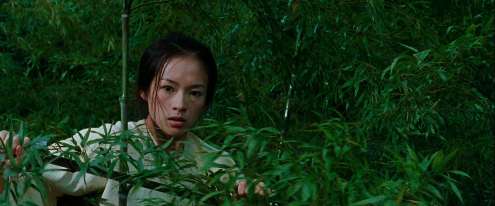 Crouching Tiger Hidden Dragon Wallpapers