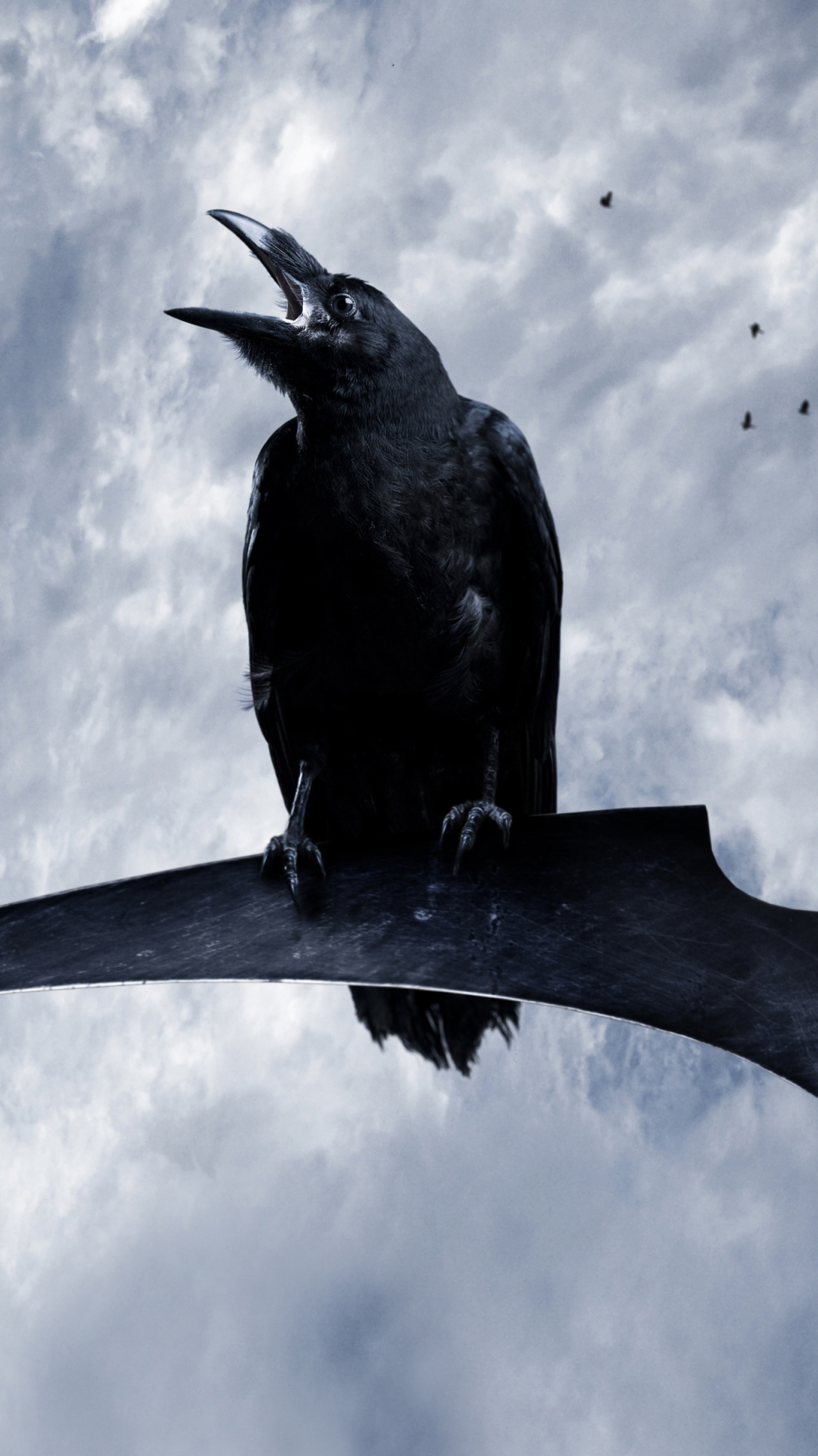 Crow Iphone Wallpapers