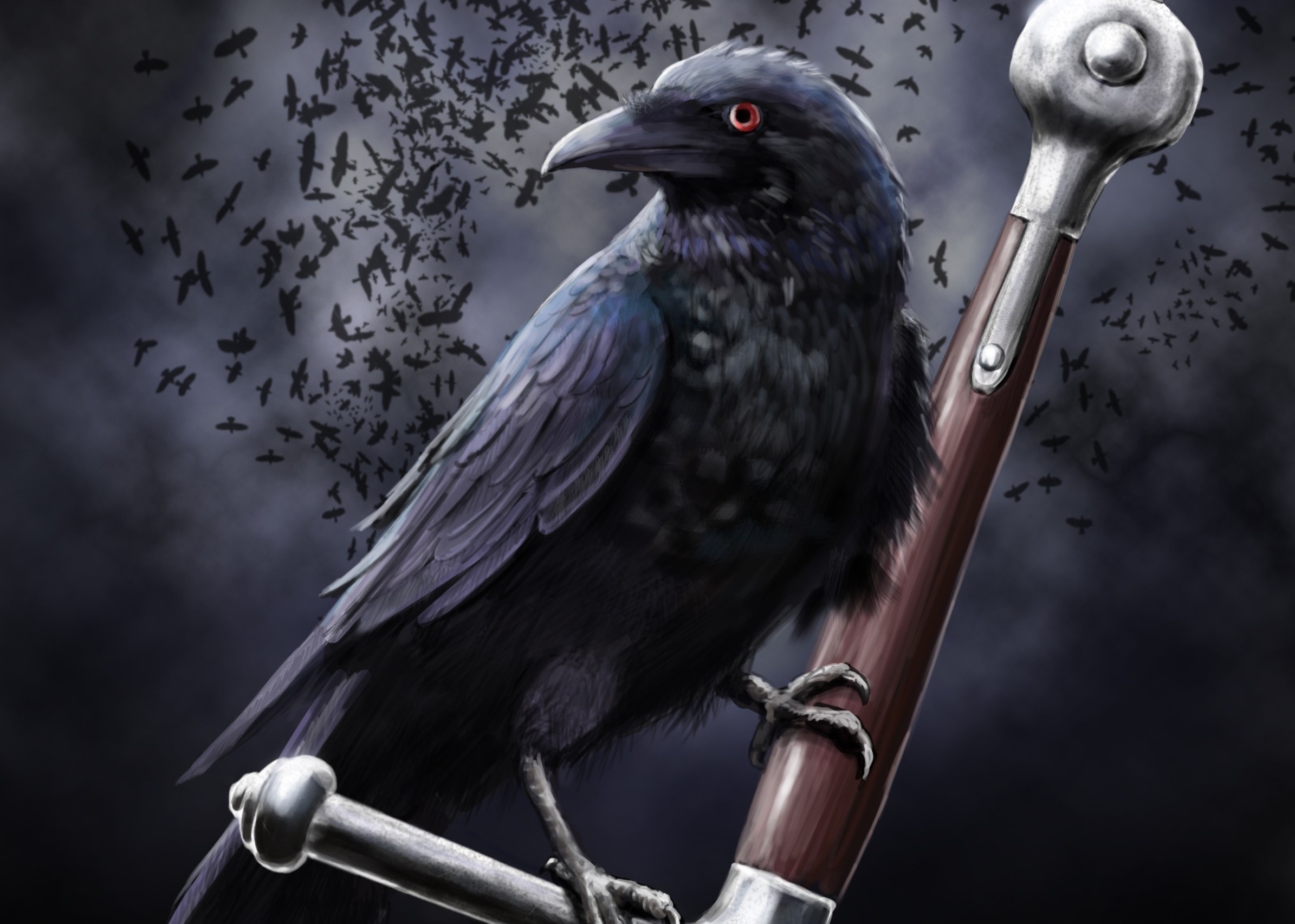 Crow Iphone Wallpapers