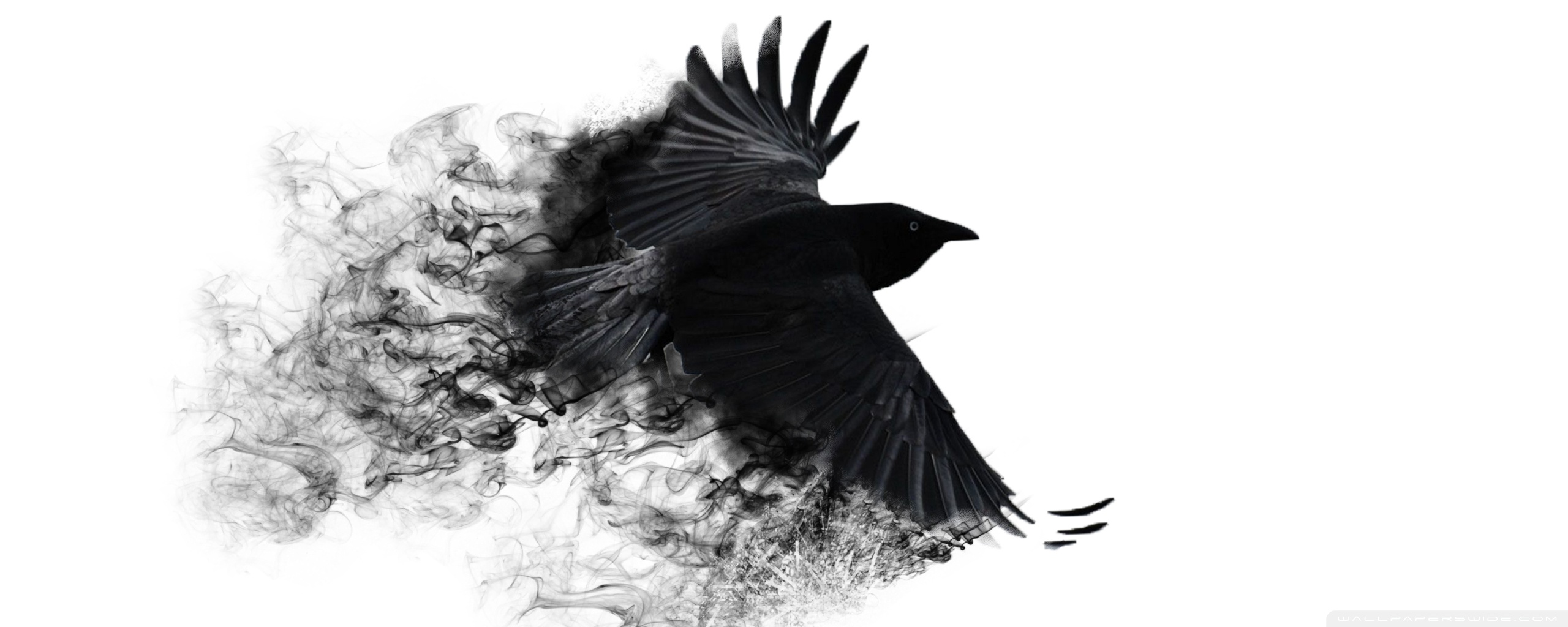 Crow Wallpapers