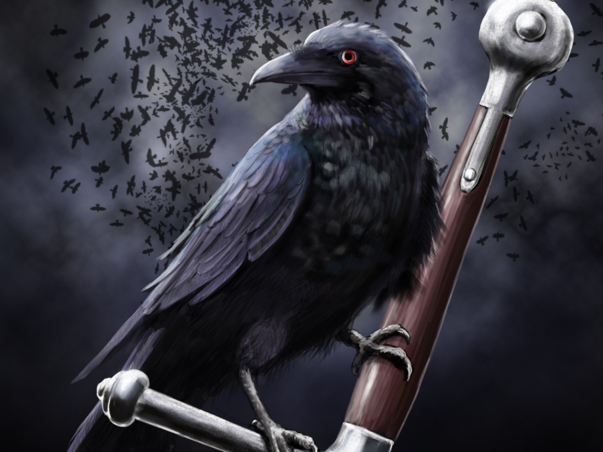 Crows Wallpapers