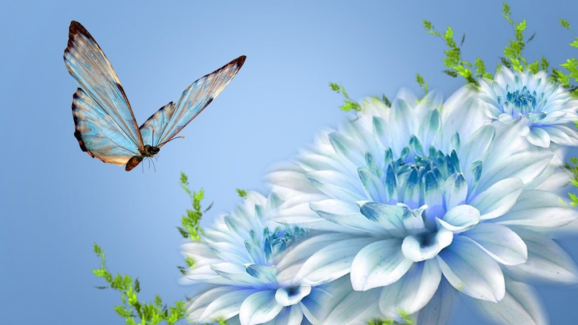 Crystal Blue Glitter Butterfly Wallpapers