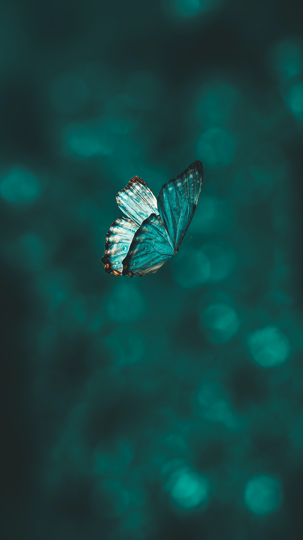 Crystal Blue Glitter Butterfly Wallpapers