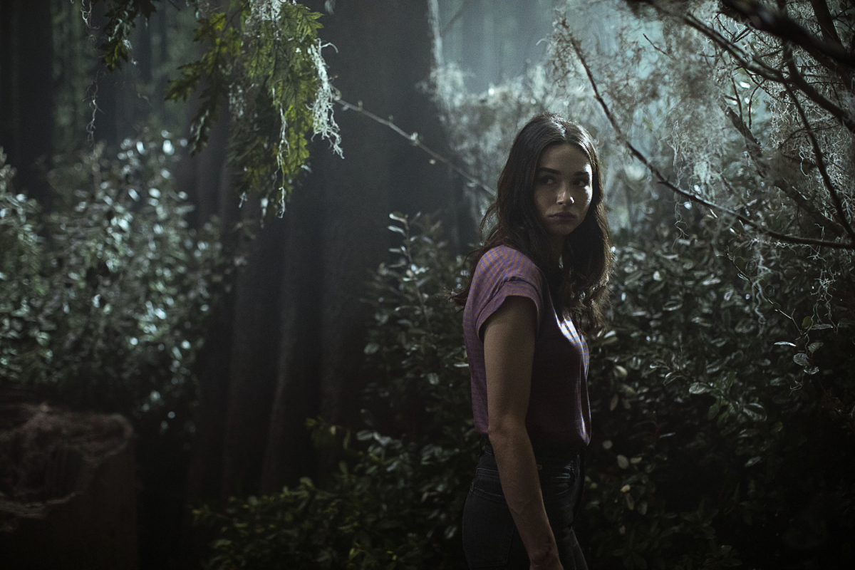 Crystal Reed Swamp Thing Wallpapers