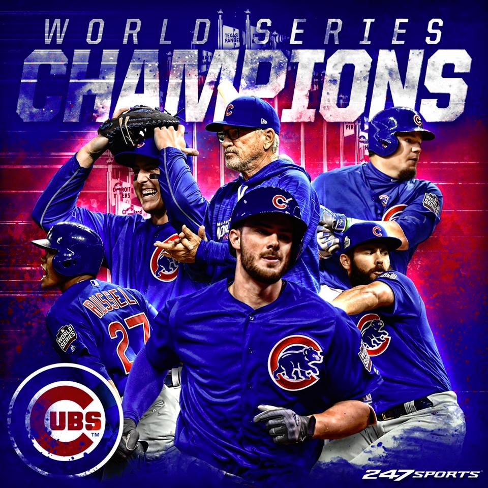 Cubs Wallpapers