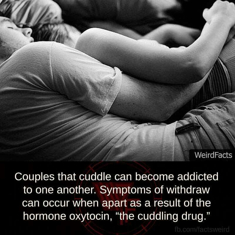 Cuddling Quotes Images Wallpapers